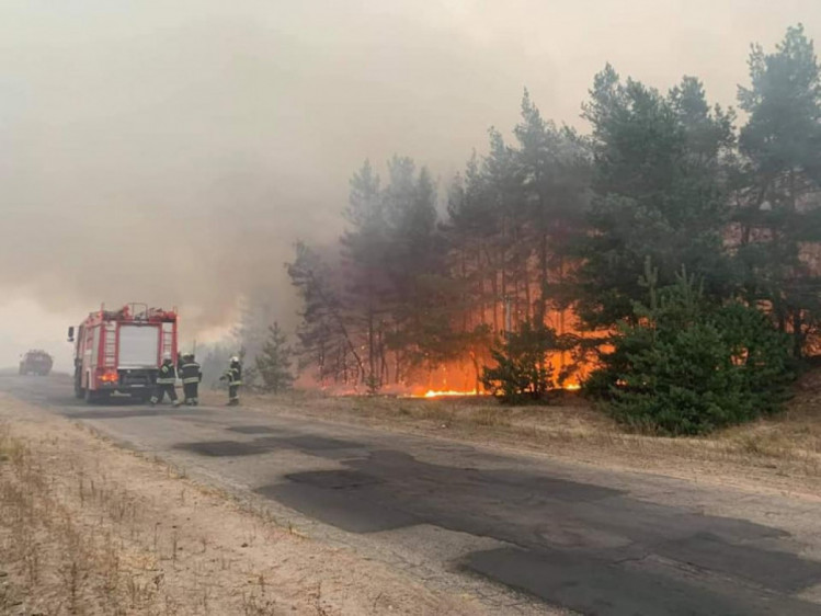 Лесные пожары на Луганщине