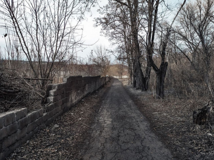 пішохідна доріжка в парку Перемога в Алчевську