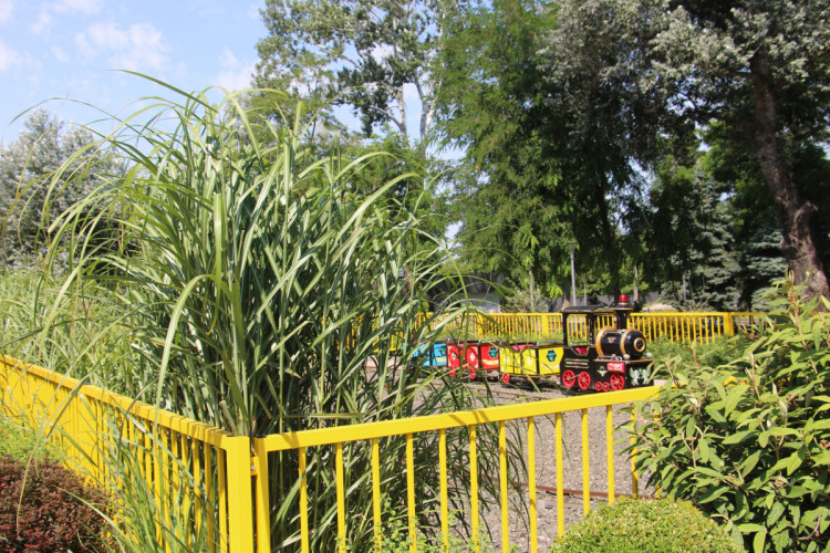 парк Веселка Мариуполь после реконструкции детский поезд