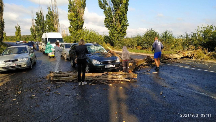 Успенка очередь в Россию дерево на дороге