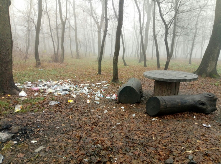 Ровеньки мусор в парке