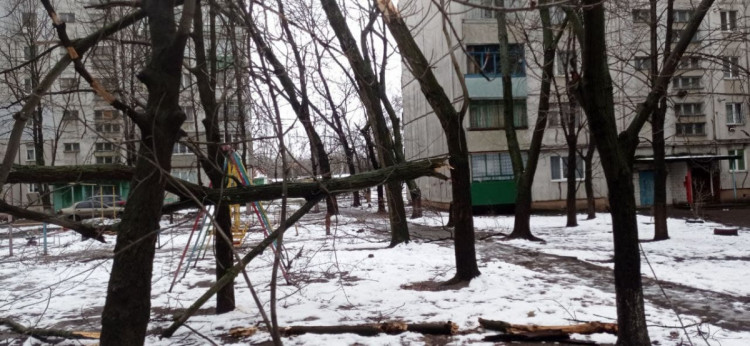 последствия снегопада Луганск Якира