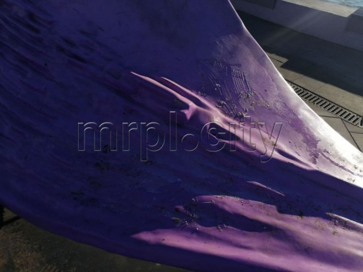 фиолетовая волна на пирсе Мариуполь